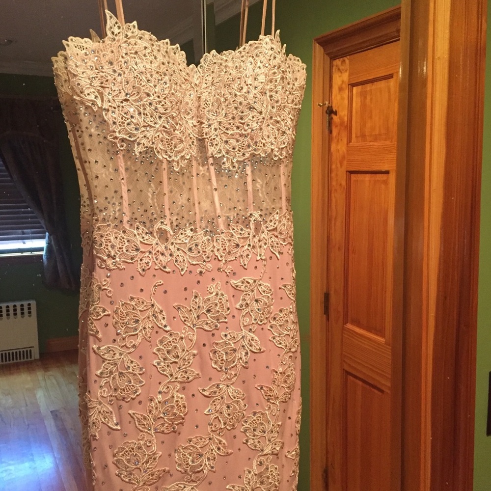 Blush Jovani Dress with Illusion Center
